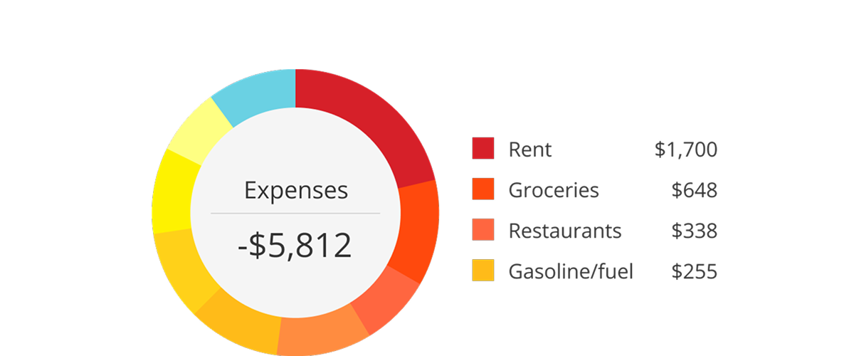 Expense breakdown chart showing monthly spending by category, including rent, groceries, restaurants, and fuel.