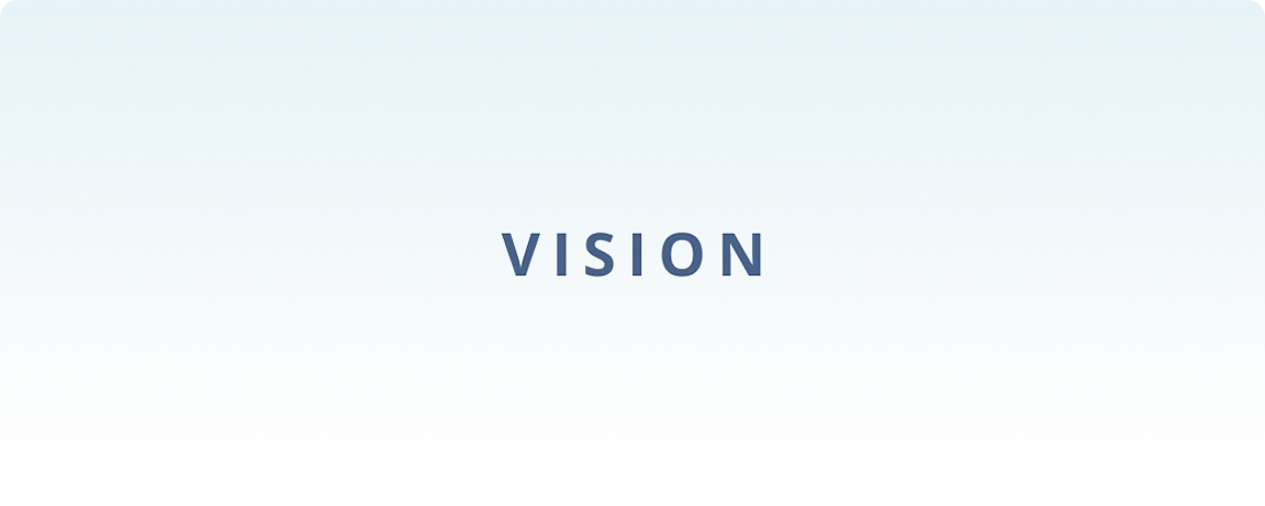 Vision