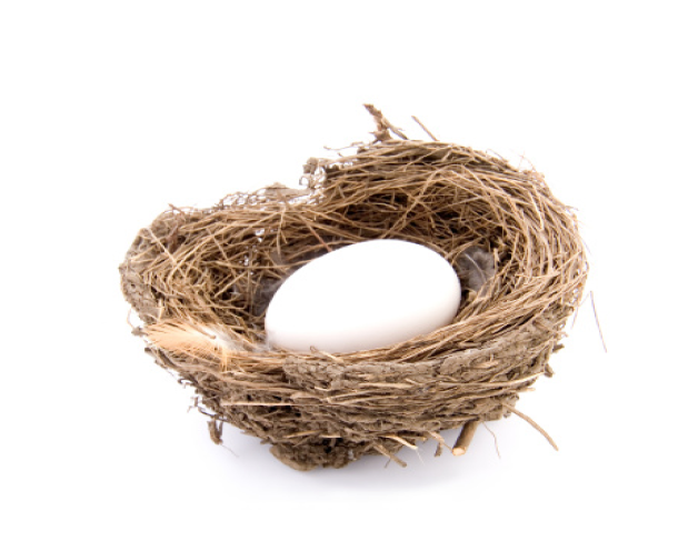 Egg in nest