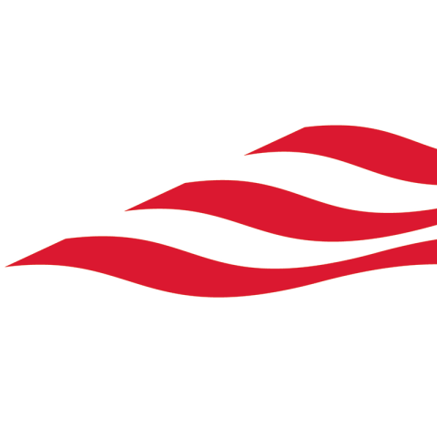 Empower flag logo